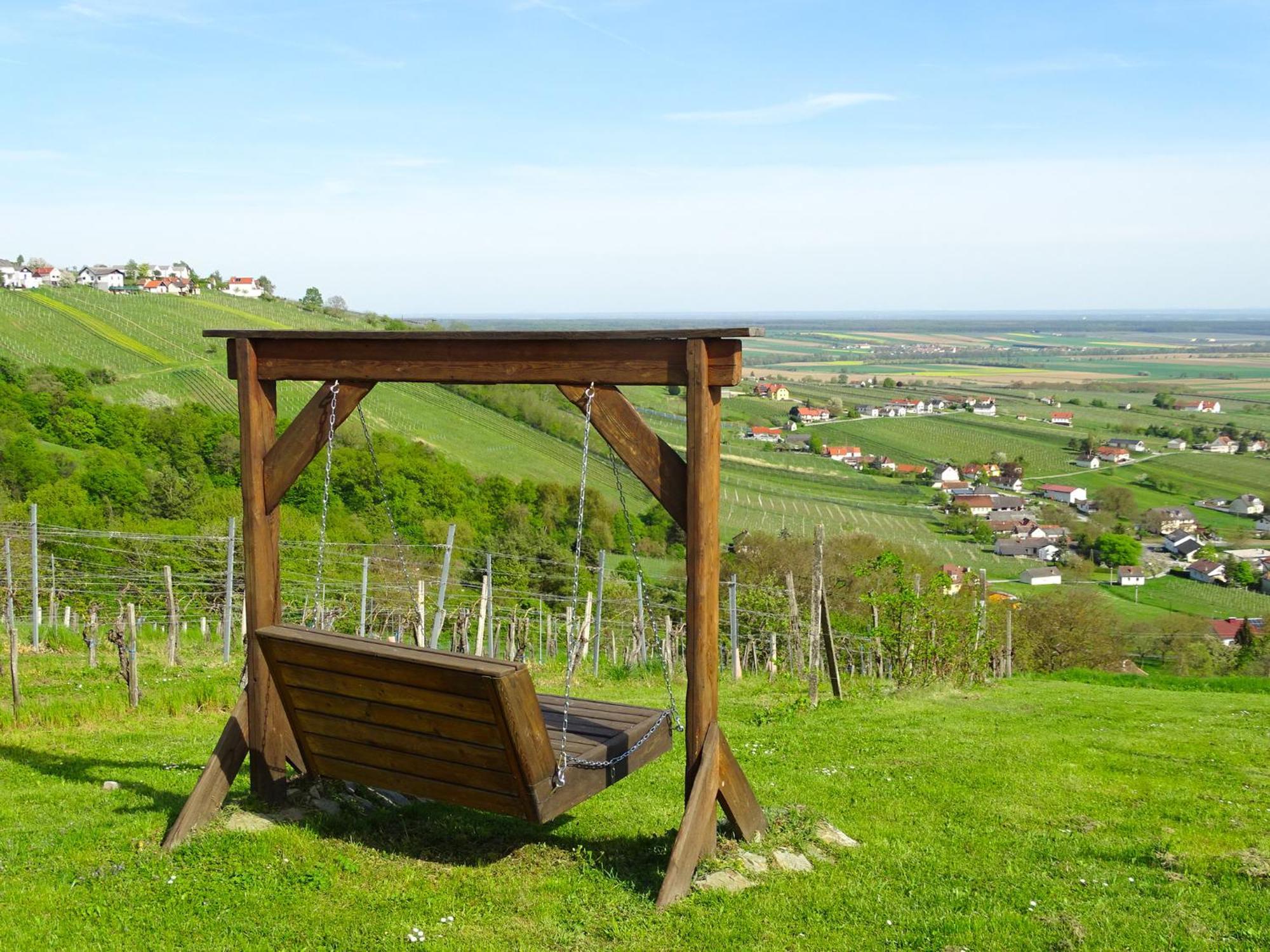Eisenberg an der Pinka Kellerstoeckl Am Bergヴィラ エクステリア 写真
